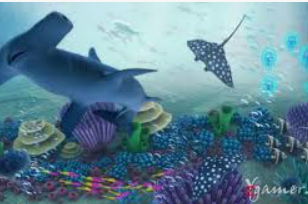 星空体彩app免费版